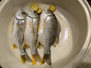 海蘊(yùn)極鮮【冰鮮】黃翅魚 新鮮海捕大黃翅魚黃腳立魚 1000g（4-6條） 曬單實(shí)拍圖