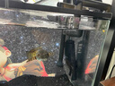 速倍妥魚(yú)護士消化菌硝化細菌非魚(yú)藥水族益生菌魚(yú)缸水質(zhì)清澈劑水質(zhì)穩定劑 水無(wú)痕 5L 曬單實(shí)拍圖