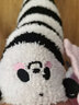 俞兆林過膝襪子女加厚保暖睡眠襪珊瑚絨長(zhǎng)筒護(hù)腿長(zhǎng)襪套月子襪 粉紋珊瑚絨過膝襪一條 均碼35-39 曬單實(shí)拍圖