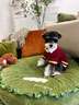 ISPET寵物衣服秋冬裝毛衣泰迪比熊小型犬柴犬西高地長毛領開衫毛衣 藍色 L 建議體重10-16斤 曬單實拍圖