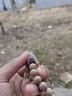 湘歌 小金剛星月菩提配飾DIY紅瑪瑙玉髓三通佛頭108顆佛珠手串配飾 藏銀(新)套10/11mm 曬單實(shí)拍圖