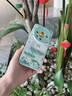 掌達(dá)人 華為mate60pro手機(jī)殼新款浮雕mate60液態(tài)硅膠鏡頭全包防摔簡(jiǎn)約卡通國風(fēng)保護(hù)套 【淡青色】國風(fēng)月兔-親膚硅膠 華為 Mate 60 曬單實(shí)拍圖