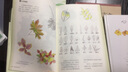 【新華正版】植物觀察筆記/我的大自然觀察筆記 動物觀察筆記看名校學(xué)生怎樣做自然觀察筆記 少兒植物科普書籍 青少年興趣培養(yǎng)思維觀察訓(xùn)練書 曬單實拍圖