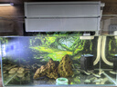 泊蘭滴流盒魚(yú)缸過(guò)濾器水循環(huán)過(guò)濾盒壁掛頂部過(guò)濾槽低音凈水系統上濾盒 P255X+混合凈化組+1000L泵+水泵減震 曬單實(shí)拍圖