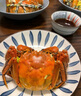 【活蟹】蟹宗大閘蟹鮮活螃蟹現貨全母蟹生鮮特產(chǎn)中秋國慶禮盒裝 精選全母蟹2.5-2.8兩 8只 曬單實(shí)拍圖