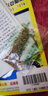 農耕濰育 西洋菜種子豆瓣菜秋冬季家庭種植蔬菜種孑陽(yáng)臺盆栽菜籽種籽 豆瓣菜種子 1000粒 曬單實(shí)拍圖