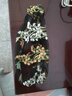 薄刺繡頭巾包頭發(fā)帶女遮白發(fā)寬邊時尚寬蕾絲壓發(fā)頭套發(fā)箍頭飾 DM1132黑底金白葡萄花 曬單實拍圖