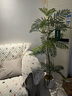 羅曼媽媽藍花楹仿真植物高端輕奢盆栽仿生假植物室內(nèi)客廳奶油風裝飾擺件 藍花楹加寬加密160cm送燕麥白 曬單實拍圖