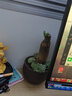 開時果 發(fā)財樹盆栽擺件 中式禪意桌面盆景招財樹大型綠植物源頭直發(fā)包郵 發(fā)財樹（福字陶瓷盆+苔蘚+底托） 曬單實拍圖