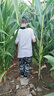 G.DUCKKIDS品牌童裝男童T恤短袖POLO衫兒童夏裝新款男孩衣服中大童夏季短T恤 條紋小熊POLO 140 曬單實(shí)拍圖