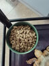 寸金陸地龜糧飼料蘇卡達紅腿輻射星龜豹龜緬甸龜飼料 干旱型陸地龜糧 2.5kg(大小龜都能吃) 曬單實拍圖