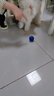 華元寵具（hoopet）狗狗玩具橡膠球耐咬磨牙小狗泰迪幼犬大型犬金毛互動(dòng)益智寵物用品 小號兩只裝（紅+藍） 互動(dòng)*自嗨*拋撿*訓練 曬單實(shí)拍圖