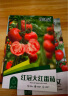 花沃里8款西红柿种子大全 蔬菜种子阳台花盆栽小番茄黑钻石紫珍珠大番茄 实拍图