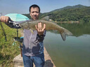 寶福印（baofuyin）30枚 精品散裝快速八字環(huán)不銹鋼8字環(huán)漁具垂釣釣魚用品小配件 本色4#【30枚】 適用5~6#線 曬單實拍圖