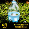 共度（Gong Du）鴿子用品用具鴿子飲水器信鴿水壺鴿具賽鴿水壺鴿子雞用水槽大口壺 加厚透明飲水器6L藍色【可拆卸】 曬單實(shí)拍圖