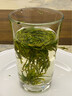 曉萍徽茶黃山毛峰特級級2025新茶上市安徽綠茶手工高山野茶葉伴手禮盒裝 半斤裝 曬單實(shí)拍圖