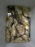 達億瓦（DAIWA） DAIWA達億瓦 枯法師七代 并繼鯽魚竿臺釣竿手桿碳素釣竿日本進口 4.2m 14尺 曬單實拍圖