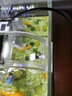 森森（SUNSUN） 魚缸燈LED燈 水族箱照明燈 魚缸夾燈 草缸燈  水族照明設(shè)備 ADP300C配38-42cm魚缸4.5W 曬單實(shí)拍圖