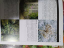 綠手指園藝叢書(shū)：鐵線(xiàn)蓮與藤蔓植物 曬單實(shí)拍圖
