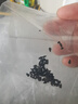 券搜搜鴻運當頭花種子白掌粉掌種苗四季易種水生植物花卉花草籽紅掌種子 紅掌種子20粒（購買(mǎi)2份送一份） 曬單實(shí)拍圖