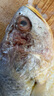 冰鮮部族大黃花魚(yú) 深海大黃魚(yú)海捕活凍鮮活大海魚(yú)鮮海鮮水產(chǎn) 【深海大黃花魚(yú)250g*4條】2斤裝 曬單實(shí)拍圖