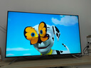 海信（Hisense）電視 55E8G 55英寸電視 4K智慧屏電視機智能網(wǎng)絡(luò )平板液晶電視 曬單實(shí)拍圖