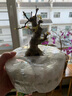 精品對節白臘老樁 白蠟盆景 辦公桌陽(yáng)臺綠植盆栽  白蠟盆栽盆景 白臘J40 曬單實(shí)拍圖