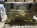鑫美侖（SINMELON）魚(yú)餌防潮箱多功能釣箱透明塑料收納箱密封儲物罐魚(yú)餌保鮮盒 曬單實(shí)拍圖