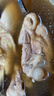 湯膳師月子餐30天食材煲湯材料人流調(diào)理補(bǔ)品月子湯料包產(chǎn)后套裝 1-15天湯料包【禮盒裝】 曬單實(shí)拍圖