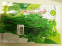 育禾農(nóng)連州甜菜心種子蓮州菜苔廣東四九白菜芯秋季蔬菜種籽 增城一號遲甜菜心王種子 10g 曬單實(shí)拍圖
