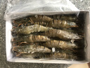 鮮拔頭籌 特大號黑虎蝦活凍500g大蝦斑節對蝦超大草蝦蝦仁 生鮮蝦類(lèi)年貨送 500g(凈重)  5只 曬單實(shí)拍圖