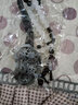 戚小米【清嶼】馬面裙配飾長(zhǎng)瓔珞國(guó)潮水墨風(fēng)飾品古風(fēng)漢服背云流蘇項(xiàng)鏈女 【清嶼】長(zhǎng)瓔珞 曬單實(shí)拍圖