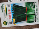 京研香菜種子紅根韭菜四季小香蔥籽鐵桿大蔥香芹農(nóng)科院陽臺蔬菜種籽孑 京研韭菜 5克 曬單實拍圖