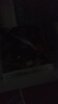 【京倉直配】百病食療大全 百病食療看這本就夠了對癥食療吃出健康掌握飲食宜忌避免飲食誤區(qū)成為健康的起點(diǎn)實(shí)用中草藥圖譜與應(yīng)用手冊 實(shí)用中草藥1970 310味中草藥活字典入門自學(xué)書籍 【全彩加厚】百病食療 曬單實(shí)拍圖