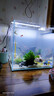咪貝萌魚(yú)缸造景石頭裝飾品水族蝦缸擺件樹(shù)根沉木假山小金魚(yú)躲避屋產(chǎn)卵洞 TG0804 均碼 曬單實(shí)拍圖