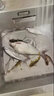 挺派（TINGPAI） 釣魚(yú)窩料野釣打窩通殺鯽鯉草青鳊魚(yú)淡水用五谷麥酒米老壇底窩料 1.8斤大小通殺四季版 粉料+谷麥 曬單實(shí)拍圖