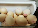 羅老板靈芝營(yíng)養初生蛋農家喂養新鮮土雞蛋月子蛋寶寶鋪食10-360枚 30枚裝 曬單實(shí)拍圖