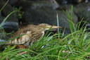 佳能 Canon EF 300mm F4L IS USM 400mmF5.6定焦二手單反定焦鏡頭 EF 400mm5.6L USM 95新 曬單實(shí)拍圖