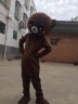 蜗·舍网红熊人偶服装套装熊本熊布朗熊开业节日庆典演出服装 熊熊 145-164cm 实拍图