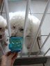 萌萌鴨 狗狗嘴套防叫防咬防亂吃寵物嘴套透氣小中大型犬口罩外出嘴罩 天藍(lán)色 S碼（3~10斤） 曬單實(shí)拍圖