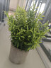 生喜朗仿真綠植盆景盆栽仿真花假花造景客廳室內(nèi)桌面裝飾落地擺件 曬單實拍圖