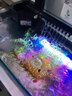 金利佳（Jeneca）魚缸過濾器潛水泵低水位內(nèi)置沖氧泵水族箱龜缸過濾器三合一 【3.5W雨淋立臥式】高低水位 曬單實(shí)拍圖