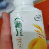 伊利畅轻低温酸奶 0添加生牛乳燕麦黄桃风味发酵酸牛奶 250g*4 实拍图