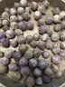 云南精選干獨頭蒜紫皮蒜獨蒜香頭大蒜頭新鮮蒜干蒜大小果可選 250g 珍珠小獨蒜直徑約1CM 曬單實(shí)拍圖