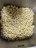 ZXC四川新鮮苦藠團(tuán)蔥 小根蔥野蔥頭 苦茭小洋蔥藠頭 薤白 3斤中大果 1.5kg 曬單實(shí)拍圖