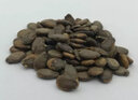 中科茂華（ZHONG KE MAO HUA）麒麟西瓜種子早佳8424果形美觀 肉質(zhì)香甜皮薄甜脆 金美都種籽孑 金美都西瓜種子5克約80粒(耐裂) 曬單實拍圖