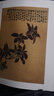 榮寶齋畫(huà)譜（古代部分 68 金農 花鳥(niǎo)人物） 曬單實(shí)拍圖