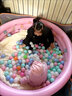 沃特曼兒童海洋球池圍欄室內家用加厚波波池嬰兒寶寶充氣玩具池游泳池 瑪卡粉130cm【豪華款】 曬單實(shí)拍圖