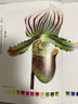 水色花語(yǔ) 超寫(xiě)實(shí)花卉水彩表現(xiàn)技法 曬單實(shí)拍圖
