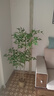 瑯闕仿真植物南天竹落地盆栽仿生綠植擺件客廳沙發(fā)邊家居裝飾盆景假樹(shù) 1.3米南天竹 曬單實(shí)拍圖